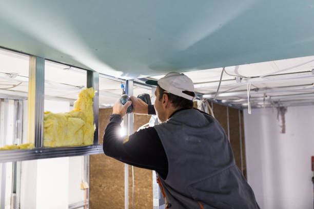 Best Cellulose Insulation in Forest City, NC