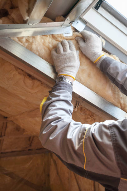 Best Eco-Friendly Insulation in Forest City, NC
