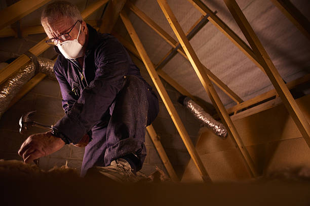 Professional Insulation Contractor in Forest City, NC